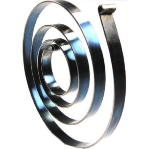 10-51324 TCM Spring